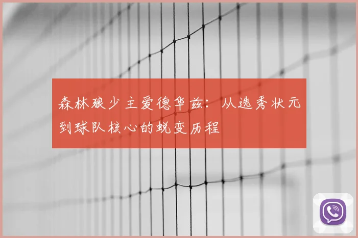森林狼少主爱德华兹:从选秀状元到球队核心的蜕变历程