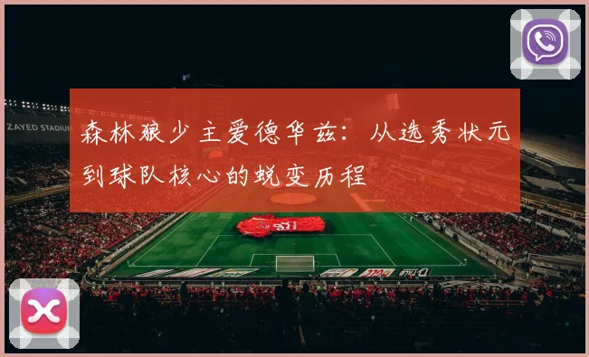 森林狼少主爱德华兹:从选秀状元到球队核心的蜕变历程