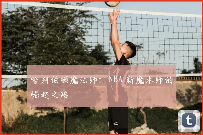 哈利伯顿魔法师：NBA 新魔术师的崛起之路