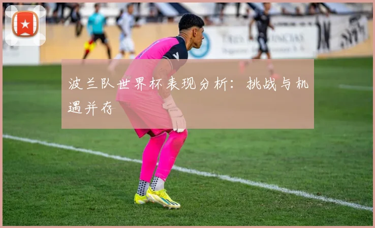 波兰队世界杯表现分析:挑战与机遇并存